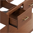 Zaire Bathroom Vanity Cabinet (Sink Basin Not Included) in Walnut