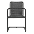 Abacus Dining Chairs Set of 2 in Slate