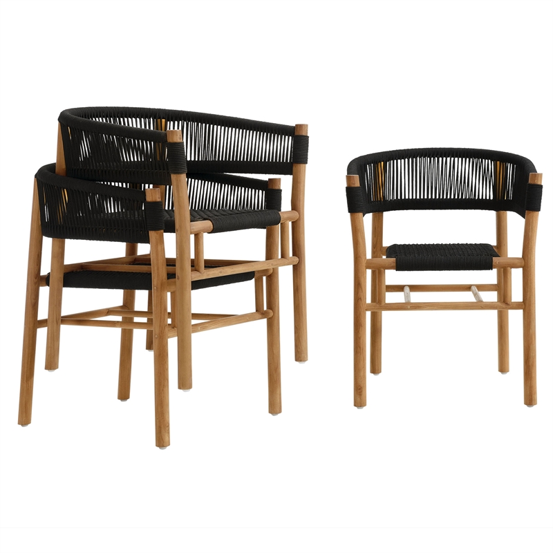 Vienna Curved-Back Dining Armchairs Set of 2 in Natural Black