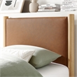 Maven Platform Bed in Tan Oak