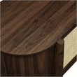 Reid TV Stand in Walnut