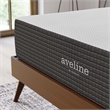 Modway 12 Inch Gel-Infused Ventilated Memory Foam California King Mattress