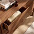 Cadence 6-Drawer Curved Dresser in Walnut