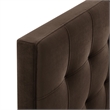Lily Stain-Resistant Performance Velvet Twin Size Headboard in Chocolate Brown