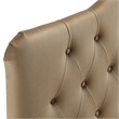 Annabel Stain-Resistant Performance Velvet Queen Headboard in Taupe