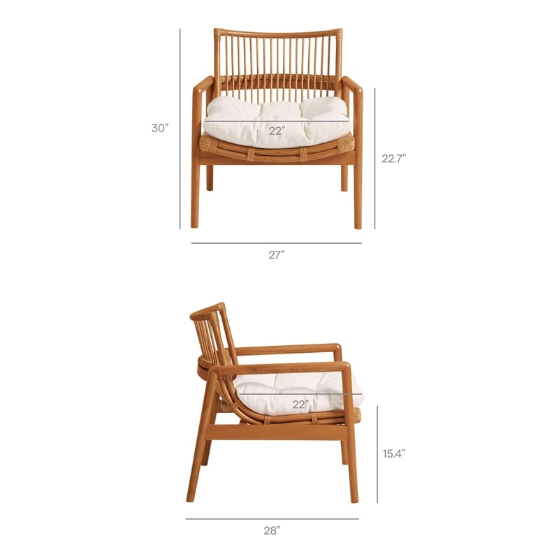 Tula Wood Rattan Lounge Chair in Brown