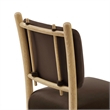 Mauden Performance Velvet Dining Side Chairs Set of 2 in Chocolate Brown