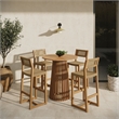 Reed 5-Piece Outdoor Teak Wood Bar Set in Natural