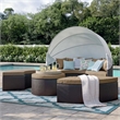 Modway Quest Aluminum and Rattan Canopy Patio Daybed in Espresso/Mocha Brown