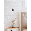 Elegant Lighting Eren 1-Light Stainless Steel and Glass Pendant in Black
