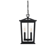 Elegant Lighting Berks 7