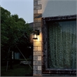 Elegant Lighting Woodstock 7