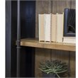 Martin Furniture Toulouse Traditional Metal and Wood Bookcase in Black