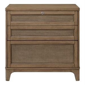 Modern Wood Lateral File Storage File Drawer Fully Assembled Brown Wood