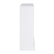 SEI Furniture Lirrington Stainless Steel Electric Fireplace in Gray