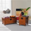 Southern Enterprises Pyramid Wood and Metal Cocktail Table Trunk in Brown