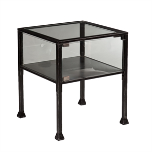 Southern Enterprises Terrarium Glass Display Coffee Table in Black
