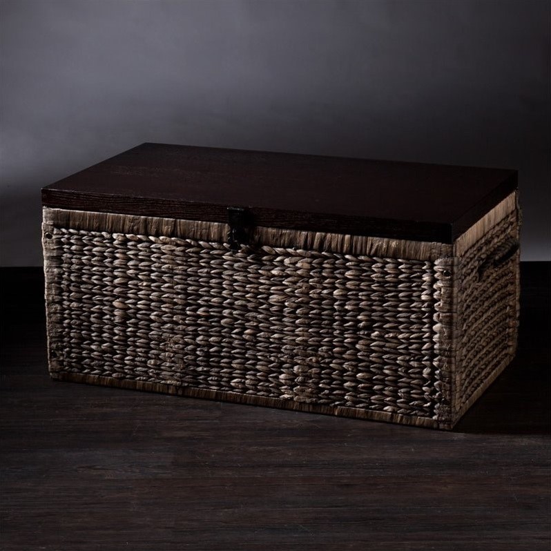 SEI Furniture Water Hyacinth Trunk Coffee Table in Blackwash