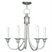 Brushed Nickel