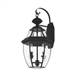 Livex Lighting Monterey 2-Light Brass Outdoor Wall Lantern in Black