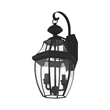 Livex Lighting Monterey 2-Light Brass Outdoor Wall Lantern in Black