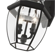 Livex Lighting Monterey 2-Light Brass Outdoor Wall Lantern in Black