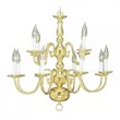 Livex Lighting Williamsburgh 12-Light Metal Chandelier in Polished Brass