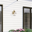 Livex Lighting Westover 1-Light Brass Outdoor Wall Lantern in Antique Brass