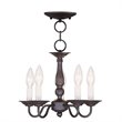 Livex Lighting Williamsburgh Convertible Ceiling Mount in Bronze