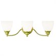 Livex Lighting Somerville Bath Light in Polished Brass