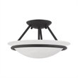Livex Lighting Newburgh 2-Light Transitional Metal/Glass Ceiling Mount in Black