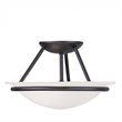 Livex Lighting Newburgh 2-Light Transitional Metal/Glass Ceiling Mount in Black