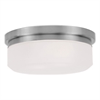 Livex Lighting Stratus 2 Light Brushed Nickel Ceiling Mount or Wall Mount
