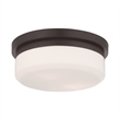 Livex Lighting Stratus 2 Light Bronze Ceiling Mount