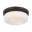 Livex Lighting Stratus 2 Light Bronze Ceiling Mount