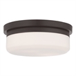 Livex Lighting Stratus 2 Light Bronze Ceiling Mount