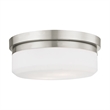 Livex Lighting Stratus 2 Light Brushed Nickel Ceiling Mount or Wall Mount