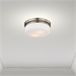 Livex Lighting Stratus 2 Light Brushed Nickel Ceiling Mount or Wall Mount