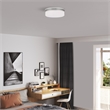 Livex Lighting Stratus 2 Light Polished Chrome Ceiling Mount or Wall Mount