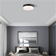 Livex Lighting Stratus 2 Light Bronze Ceiling Mount