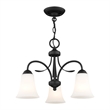 Livex Lighting Convertible Chain Hang/Ceiling Mount