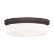 Livex Lighting Ceiling Mount or Wall Mount