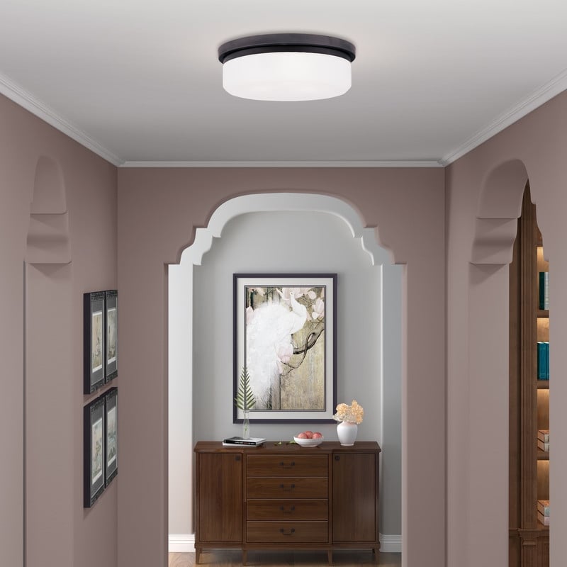 Livex Lighting Ceiling Mount or Wall Mount