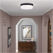 Livex Lighting Ceiling Mount or Wall Mount
