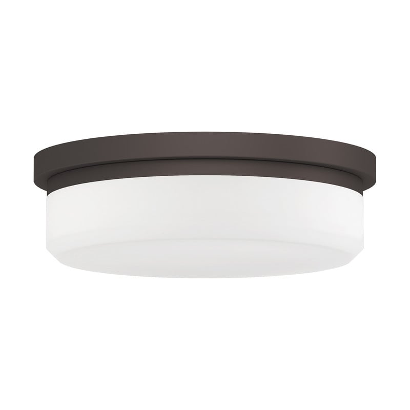 Livex Lighting Ceiling Mount or Wall Mount
