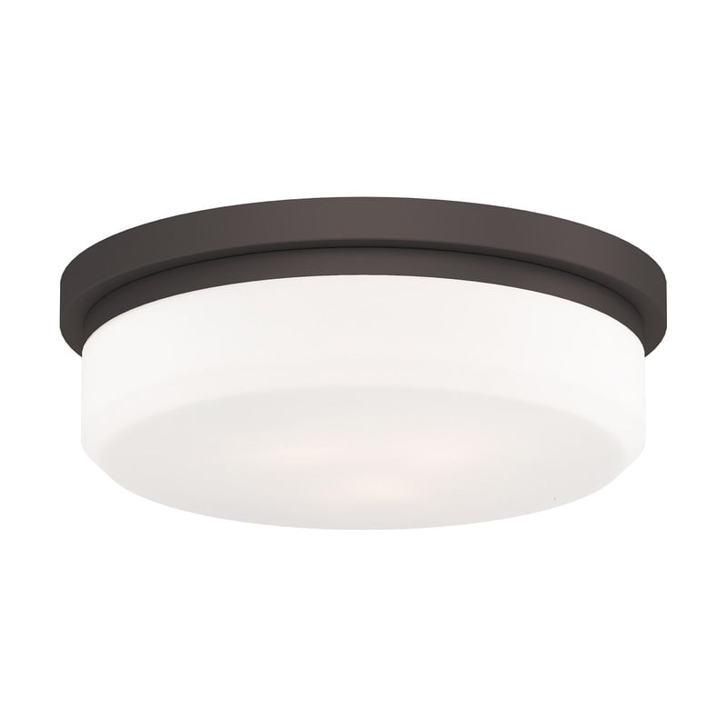 Livex Lighting Ceiling Mount or Wall Mount