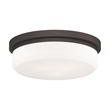 Livex Lighting Ceiling Mount or Wall Mount