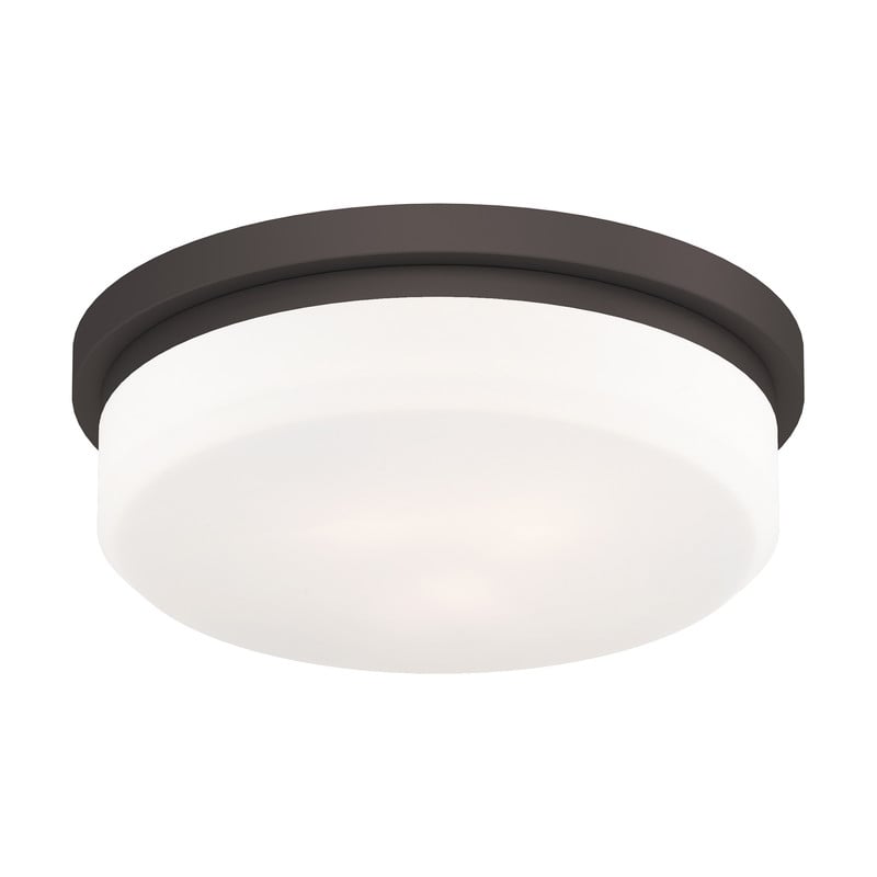 Livex Lighting Ceiling Mount or Wall Mount