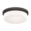Livex Lighting Ceiling Mount or Wall Mount