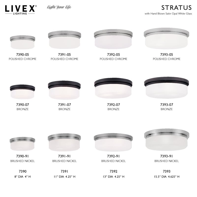 Livex Lighting Ceiling Mount or Wall Mount